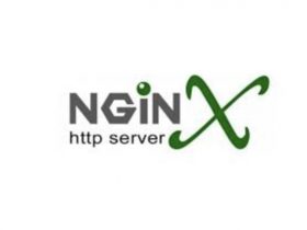 Nginx 启动脚本